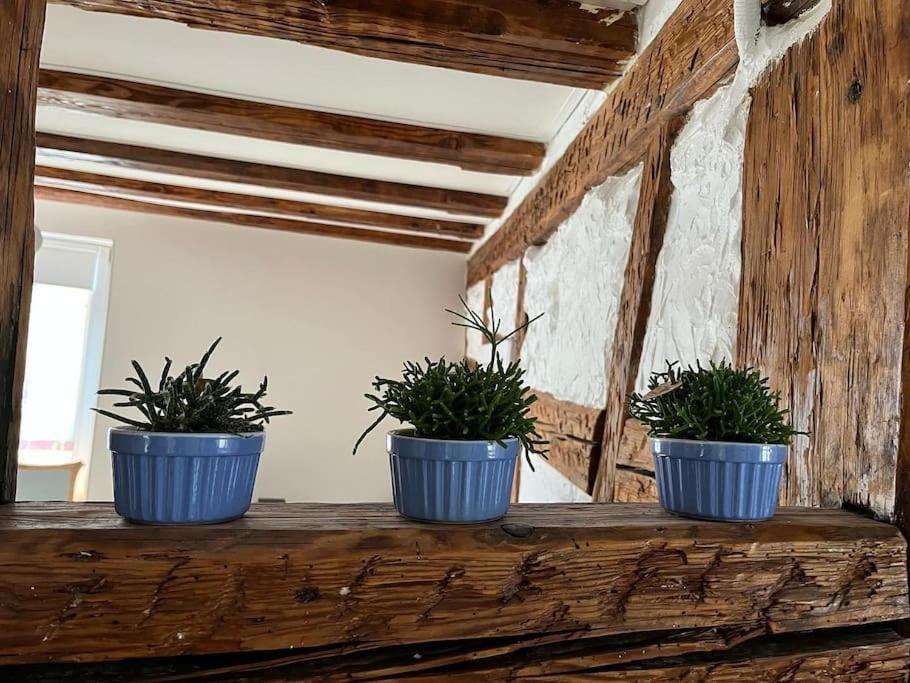 Nouvel Appartement, Le Colombage Heureux Sélestat Extérieur photo