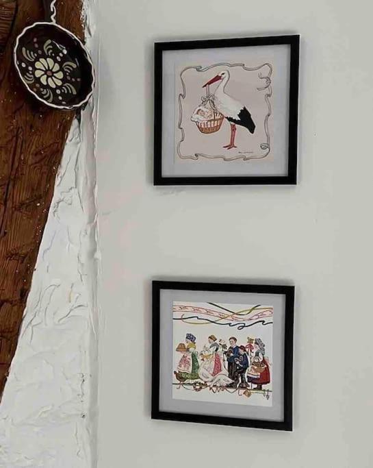 Nouvel Appartement, Le Colombage Heureux Sélestat Extérieur photo