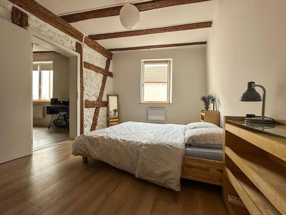 Nouvel Appartement, Le Colombage Heureux Sélestat Extérieur photo